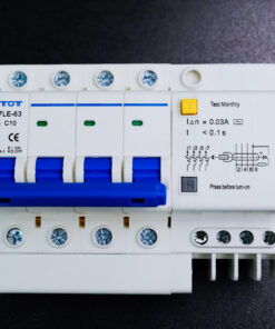 Aptomat DZ47LE-63 4PC10  bảo vệ chống ngắn mạch quá tải chính hãng  - ETOT