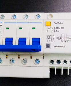 Aptomat DZ47LE-63N 4PC20  bảo vệ chống ngắn mạch quá tải chính hãng  - ETOT