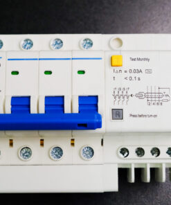 Aptomat DZ47LE-63N 4PC25  bảo vệ chống ngắn mạch quá tải chính hãng  - ETOT