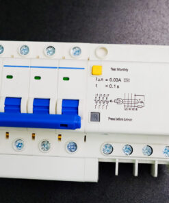 Aptomat DZ47LE-63N 4PC50  bảo vệ chống ngắn mạch quá tải chính hãng  - ETOT